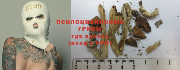 индика Аркадак