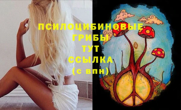 индика Аркадак