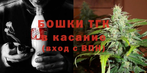 дживик Арсеньев
