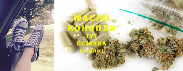 индика Аркадак