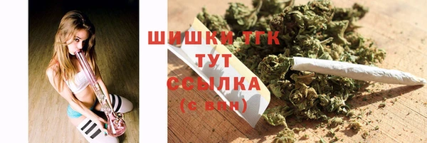 дживик Арсеньев
