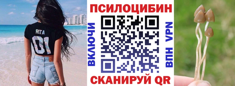 Галлюциногенные грибы Magic Shrooms  Стародуб 