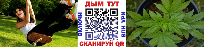 Бошки Шишки план  omg маркетплейс  Стародуб 